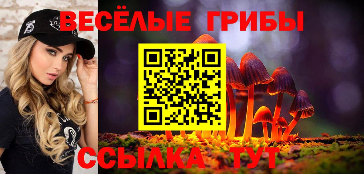 Ачинск  Галлюциногенные грибы мухоморы  Вход с VPN  Псилоцибиновые грибы Psilocybe 